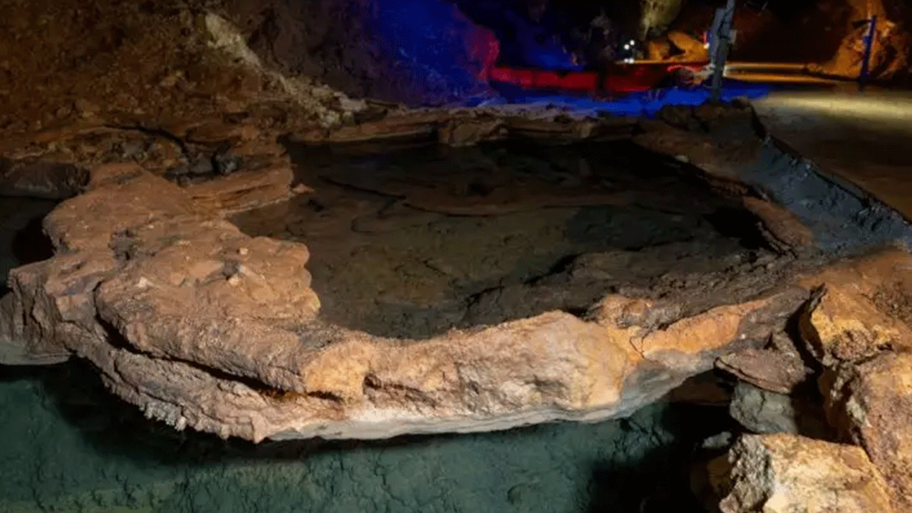 Foto - Ziyaretçilere görsel şölen sunuyor! Onbinler akın akın görmeye geliyor!