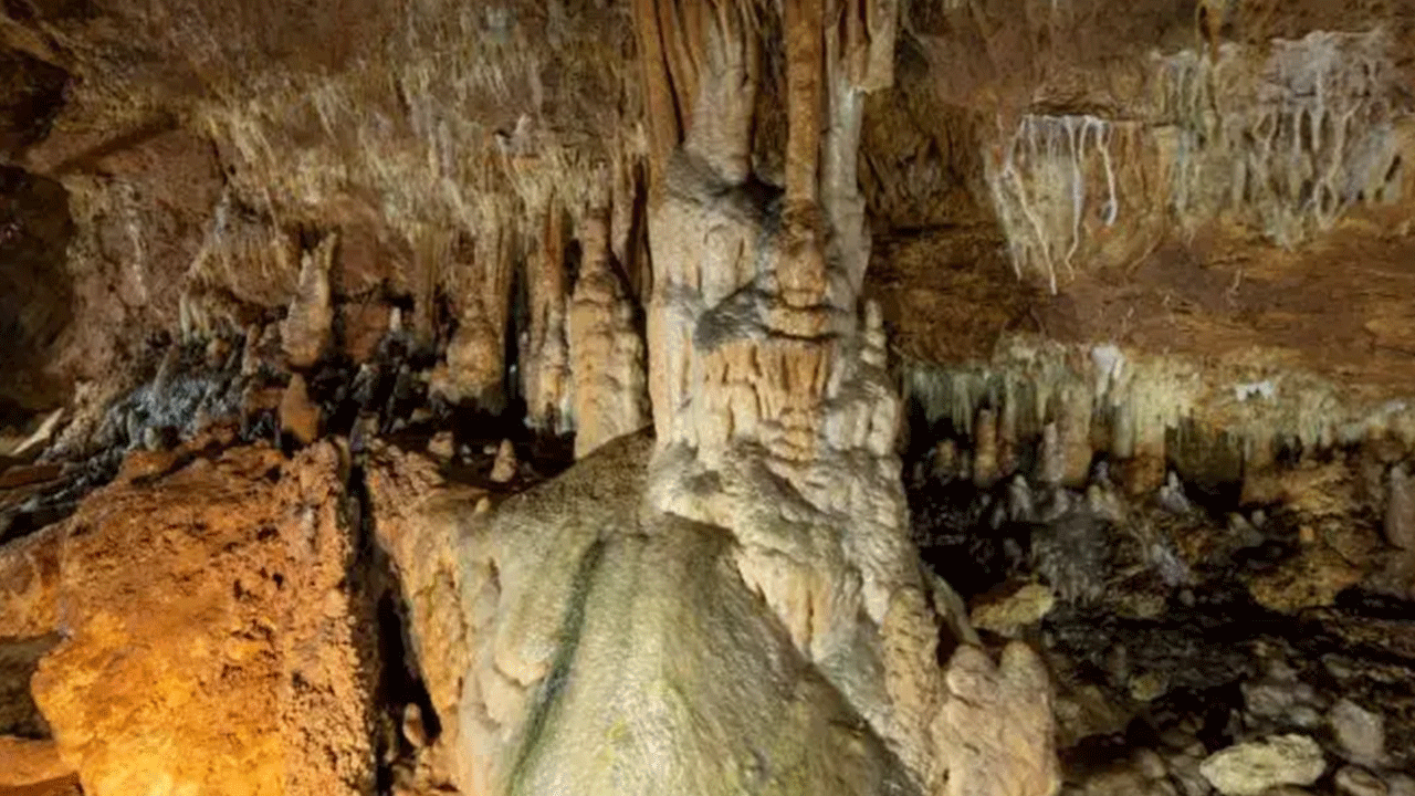 Foto - Ziyaretçilere görsel şölen sunuyor! Onbinler akın akın görmeye geliyor!