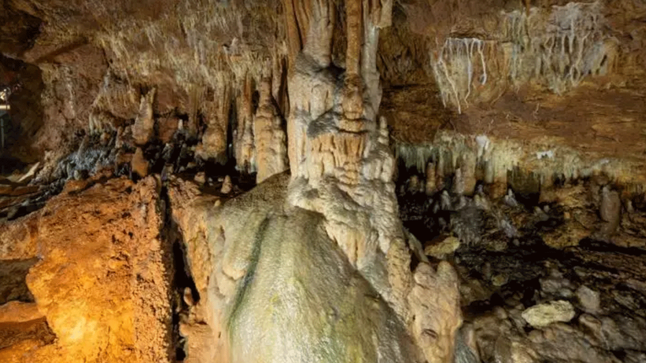 Foto - Ziyaretçilere görsel şölen sunuyor! Onbinler akın akın görmeye geliyor!