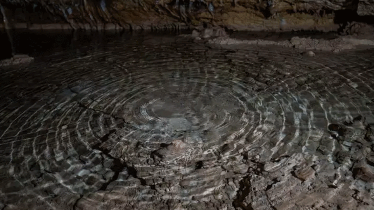 Foto - Ziyaretçilere görsel şölen sunuyor! Onbinler akın akın görmeye geliyor!