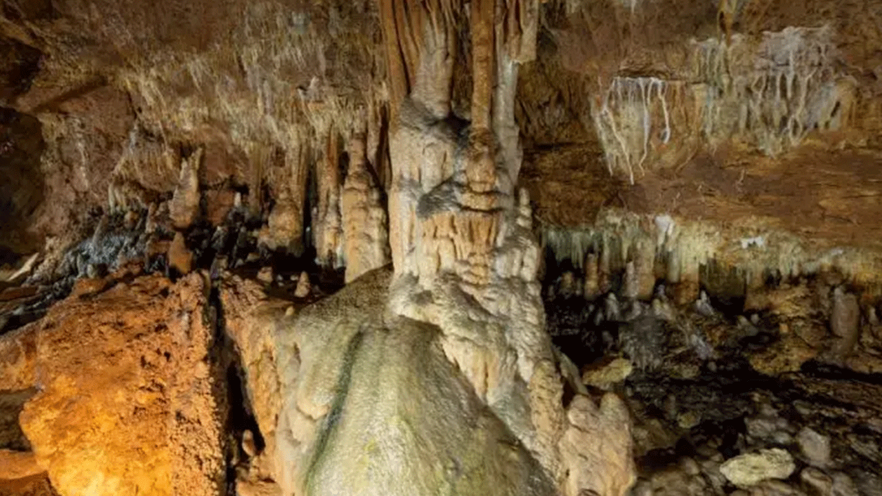 Foto - Ziyaretçilere görsel şölen sunuyor! Onbinler akın akın görmeye geliyor!
