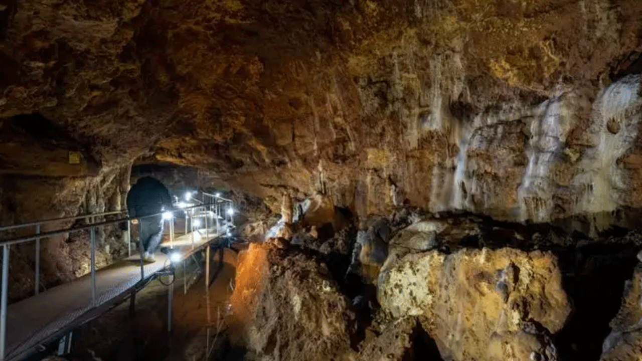 Foto - Ziyaretçilere görsel şölen sunuyor! Onbinler akın akın görmeye geliyor!