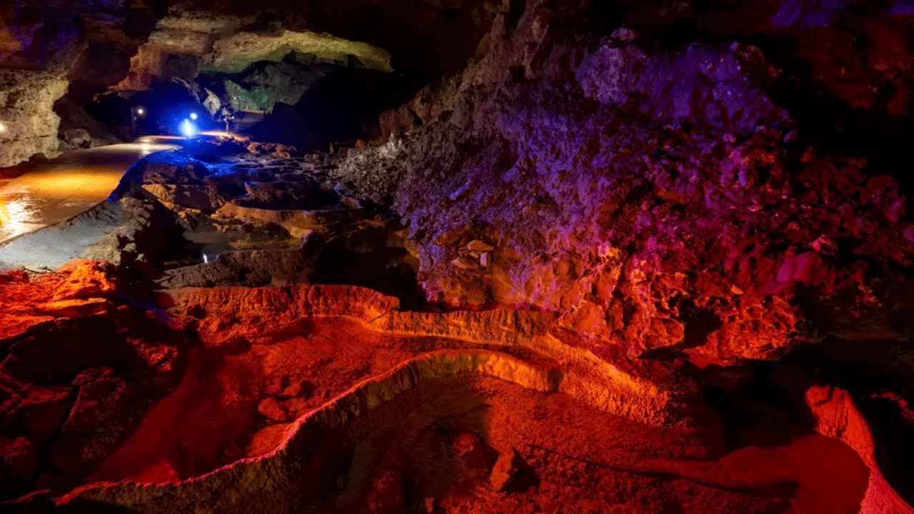 Foto - Ziyaretçilere görsel şölen sunuyor! Onbinler akın akın görmeye geliyor!