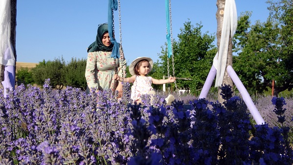 Foto - Ziyarete giden gidene! ‘Burada tutmaz’ dediler ama sonuç müthiş