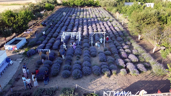 Foto - Ziyarete giden gidene! ‘Burada tutmaz’ dediler ama sonuç müthiş