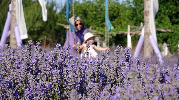Foto - Ziyarete giden gidene! ‘Burada tutmaz’ dediler ama sonuç müthiş