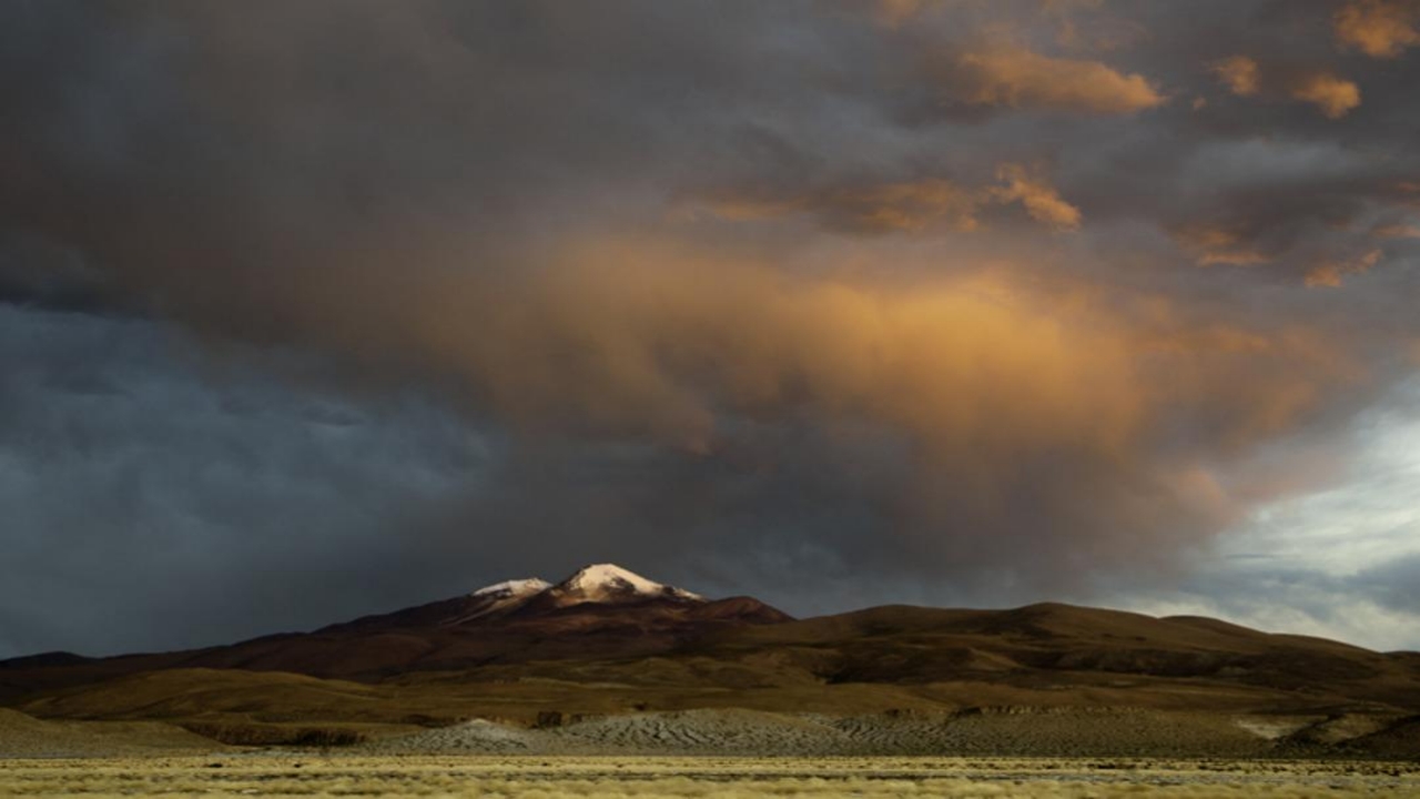 Foto - "Zombi" 250 yıl sonra tekrar uyandı! 3 ülke saydılar! Hepsi tehdit altında