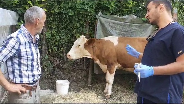 Zonguldak'ta 120 köy karantinaya alındı