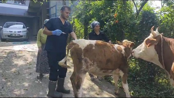 Foto - Zonguldak'ta 120 köy karantinaya alındı