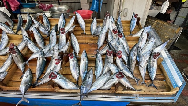 Foto - Zonguldak'ta olumsuz hava şartları palamudun fiyatını yükseltti