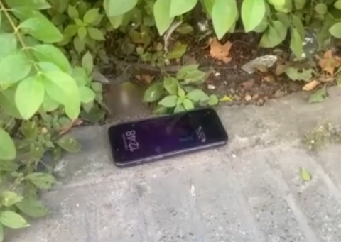 Foto - Zonguldak'ta yolda yürürken buldu, piyasa değeri 38 bin TL!