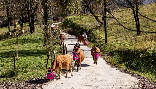 Foto - Zorlu dönüş yolculuğu başladı