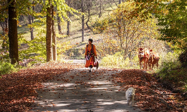 Foto - Zorlu dönüş yolculuğu başladı