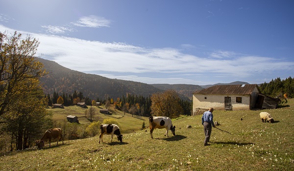Foto - Zorlu dönüş yolculuğu başladı