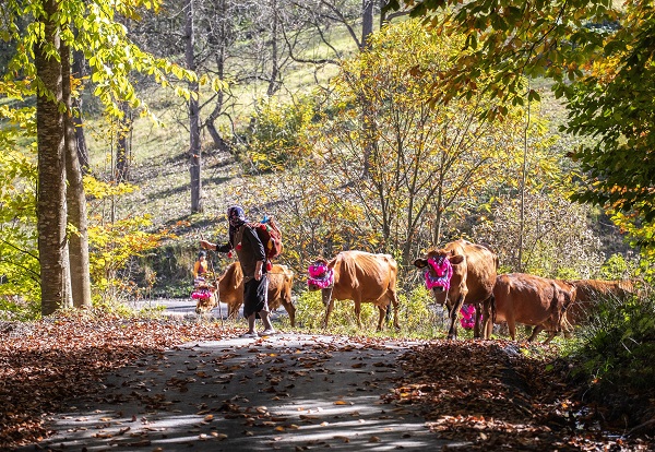 Foto - Zorlu dönüş yolculuğu başladı