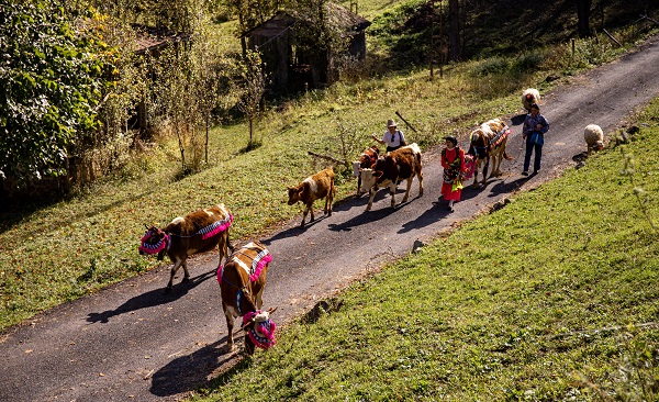 Foto - Zorlu dönüş yolculuğu başladı