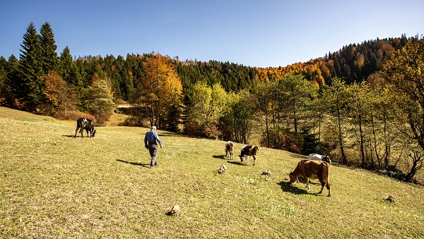 Foto - Zorlu dönüş yolculuğu başladı