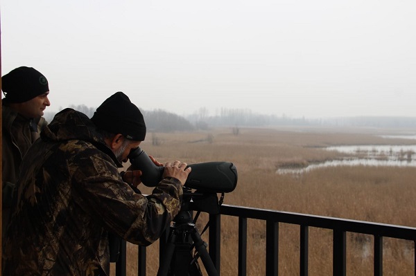 Foto - Zorlu görev! Kuşları tek tek saydılar