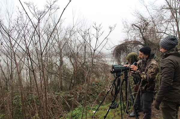 Foto - Zorlu görev! Kuşları tek tek saydılar