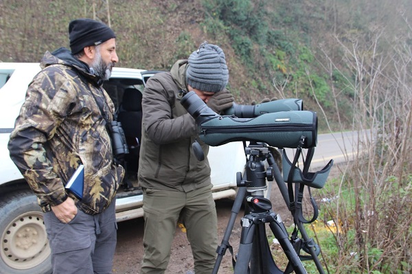 Foto - Zorlu görev! Kuşları tek tek saydılar