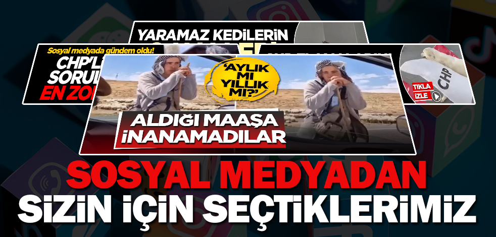 Yeni Akit Sosyal Medya