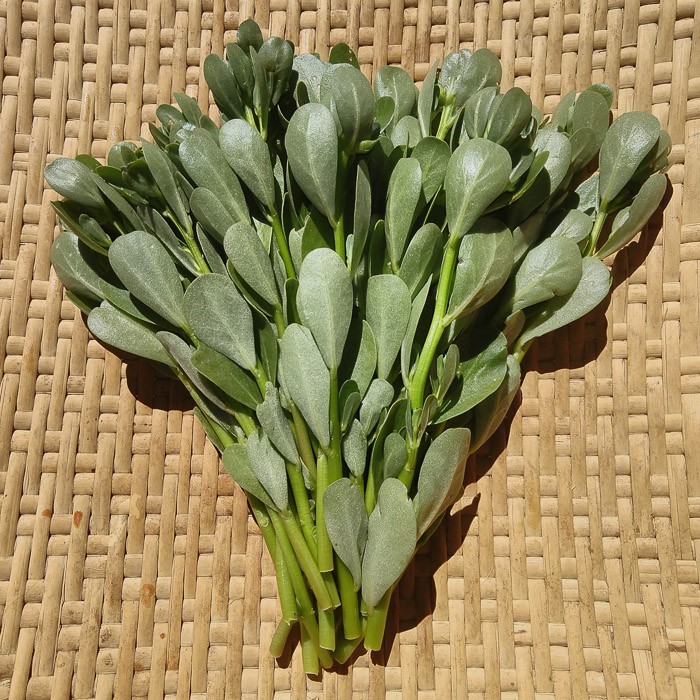 hangi sebze hangi mevsimde yenir?