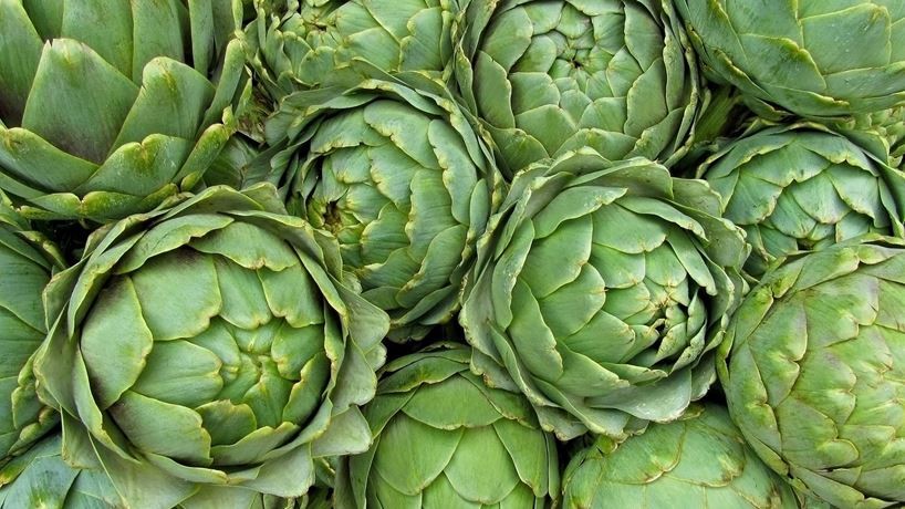 hangi sebze hangi mevsimde yenir?