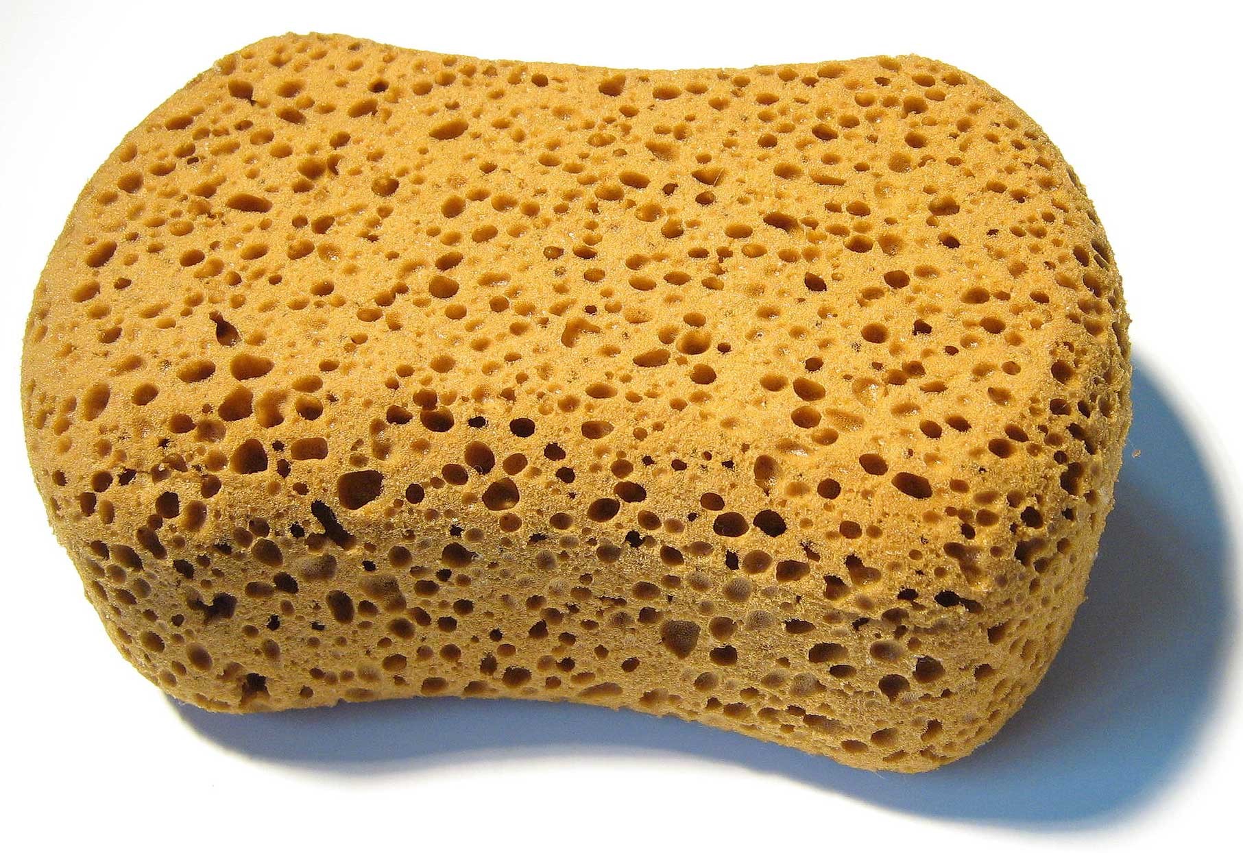 tripofobi nedir - delik hastalığı