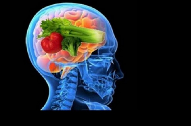 zihin geliştiren hafıza geliştiren besinler, youtube