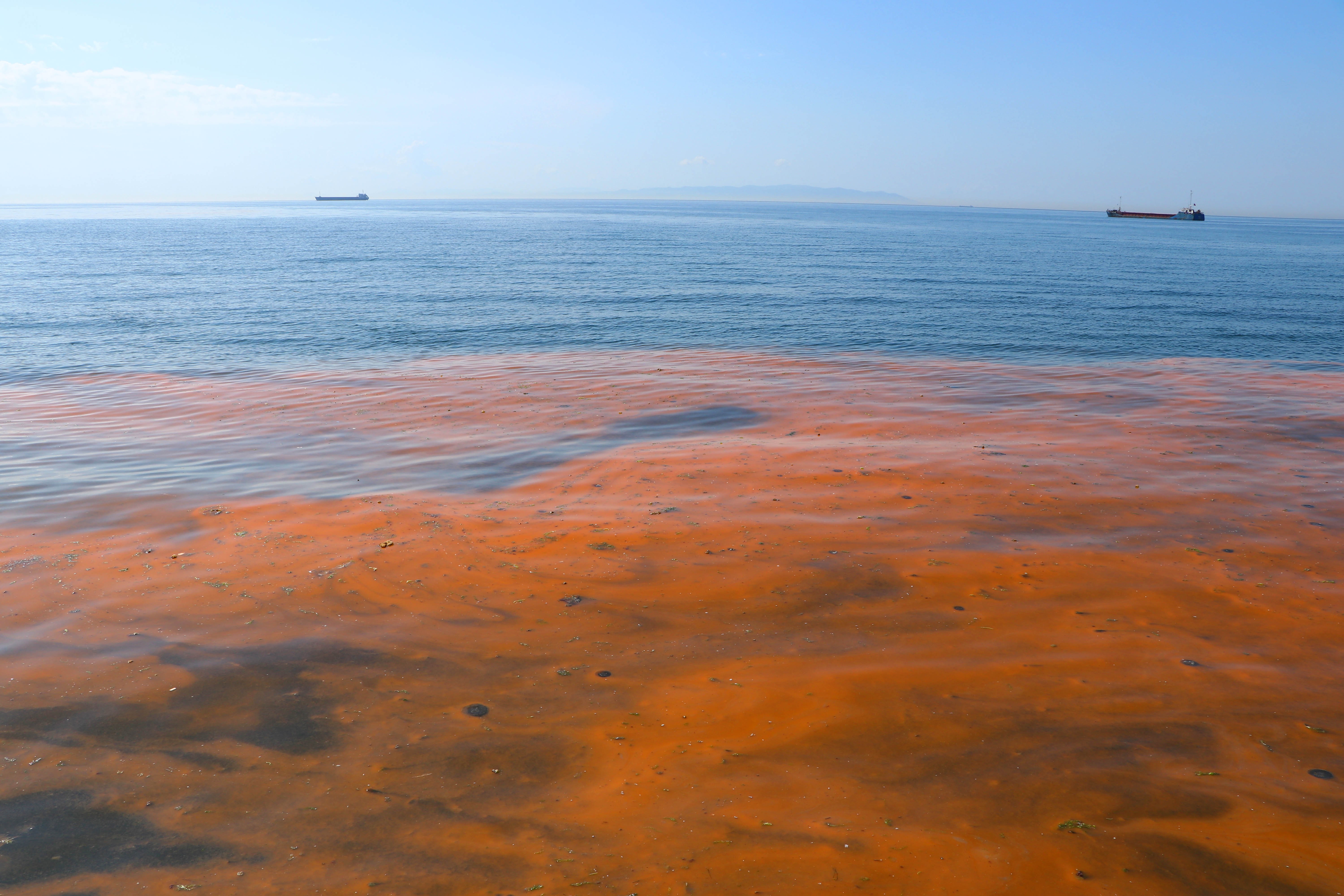 Мраморное море. Мраморное море водоросли. Мраморное море цвет. Море меняет цвет.