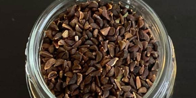 üzerlik otu faydaları