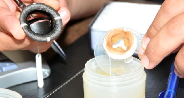 Ankara'da Kurulacak Tesisle Kalp Kapakları ve Biyolojik Greftler Artık Türkiye'de Üretilecek