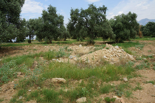 18-06/26/aydin2.jpg