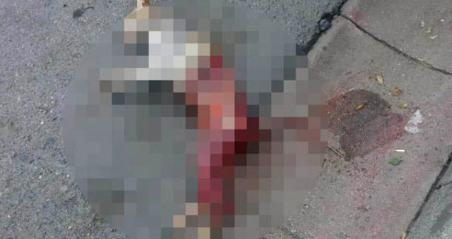 Bunu Yapan İnsan Olamaz! İstanbul'da Otomobilin Altında Derisi Yüzülerek Öldürülmüş Halde Sokak Kedisi Bulundu
