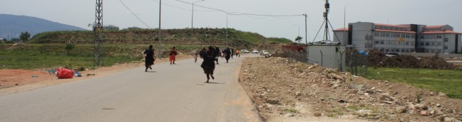 18-05/19/zabita4.jpg