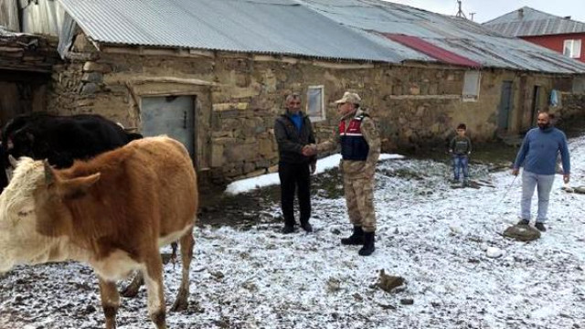 Çalınan Hayvanlarını Bulan Jandarmaya Sarılarak Teşekkür Etti