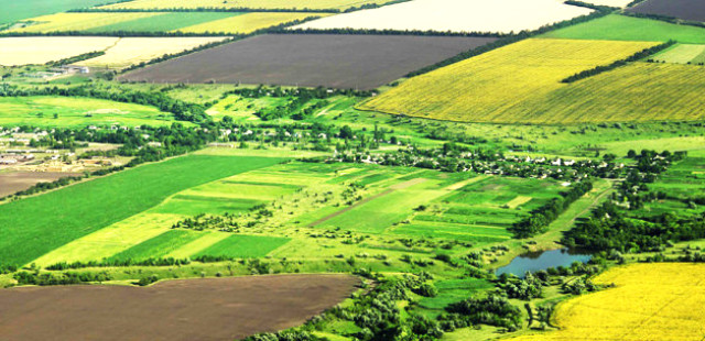 Çiftçiler Hazine Arazilerini Düşük Ücrete Kiralamak İçin Akın Etti