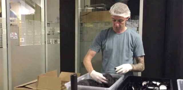 İzlandalı Birkir Mer Saevarsson Çalıştığı Fabrikadan İzin Alıp Dünya Kupasına Geldi