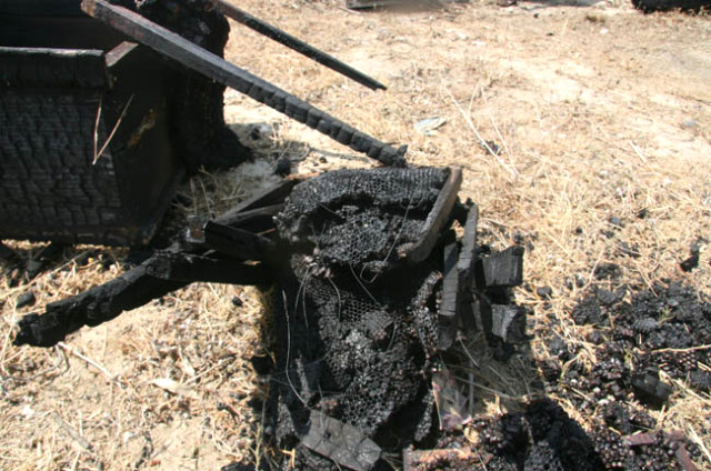 Ormanlık Alanda Çıkan Yangında Alevler, Bal Dolu Kovanları ve Arıları da Yuttu