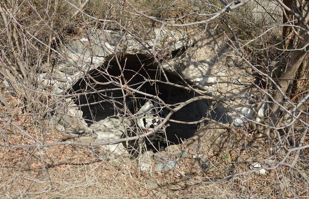 Niksar'da bir ayının mağaraya girdiğinin görüldüğü haberi mahalle halkını tedirgin etti.