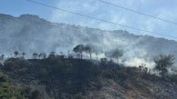Antalya'da çıkan orman yangınına havadan ve karadan müdahale ediliyor