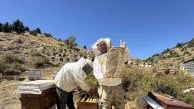Arıcılar 2200 rakımlı Konya yaylalarında yaklaşık 5-5,5 ton doğal bal bekliyor