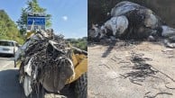 Bir kamyon dolusu atığı sokağa 20 ailenin yaşadığı boşaltıp kaçtı!