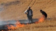 Çanakkale'de orman yangınlarına karşı flaş önlem! Anız yakılması resmen yasaklandı!
