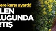Canlarını hiçe saydılar! Düğün konvoyunda pes dedirten görüntüler