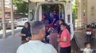 Dağdan topladıkları mantarı yiyen 7 kişi hastanelik oldu