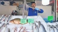Deniz yok ama balık var! Tezgahlar dolup taşıyor