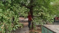 Diyarbakır’da mezarlıkta ağaca asılı halde bulundu!
