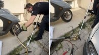 Edirne'de motorcu yılan paniği