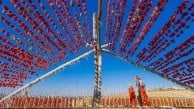 Gaziantep'te kurutmalık ürünlerin 2025 işlem hacmi 139 milyon 907 bin lirayı aştı